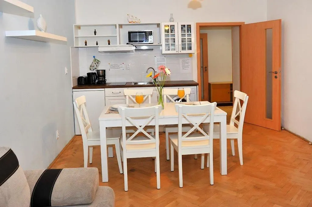 Condo In Vinohrady Praga Apartament