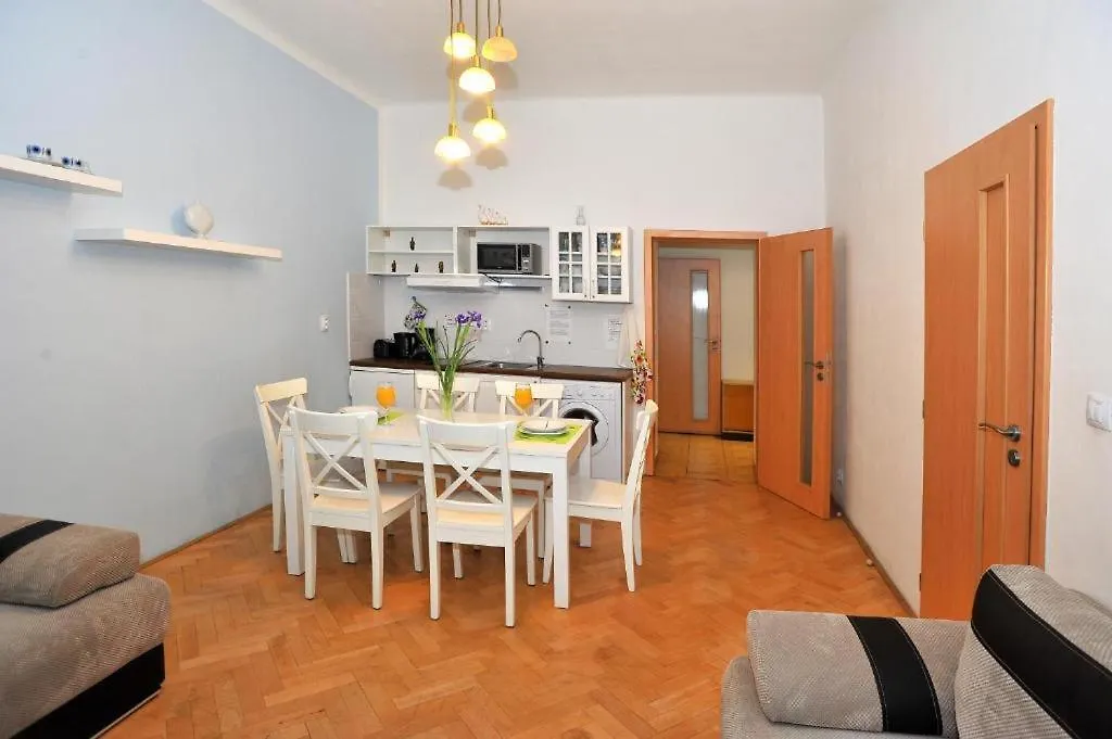 Apartment Condo In Vinohrady Prague