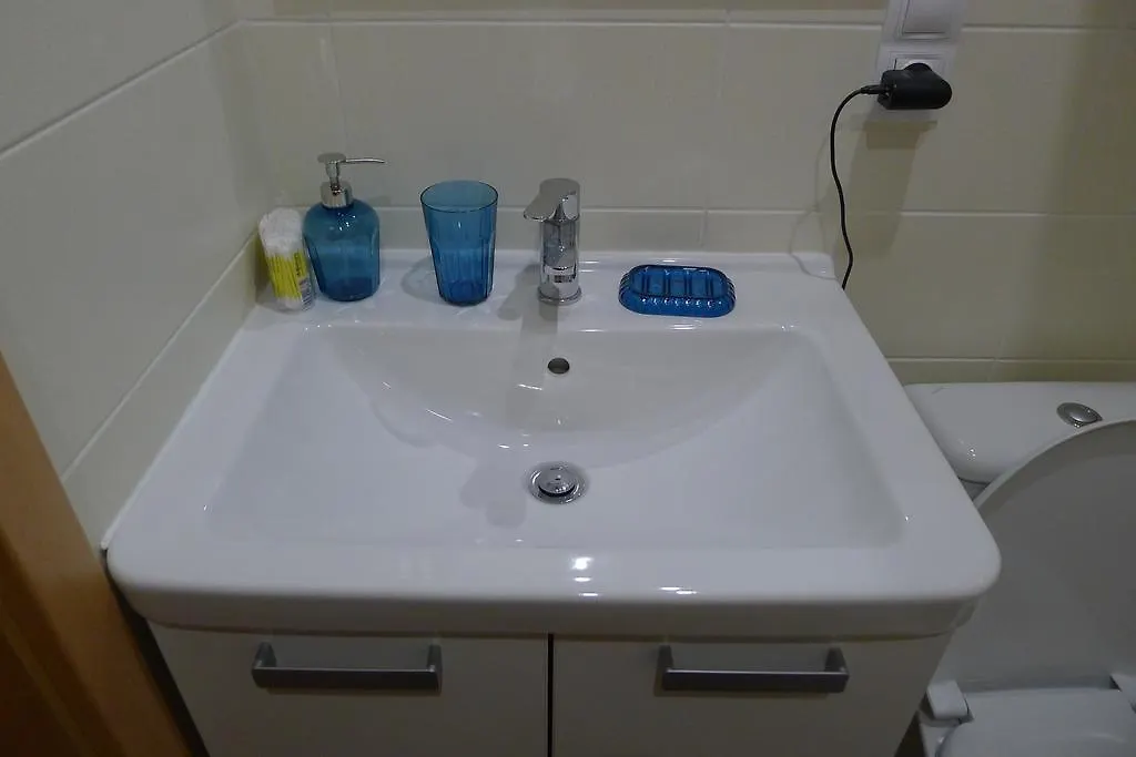 Apartment Condo In Vinohrady Prague