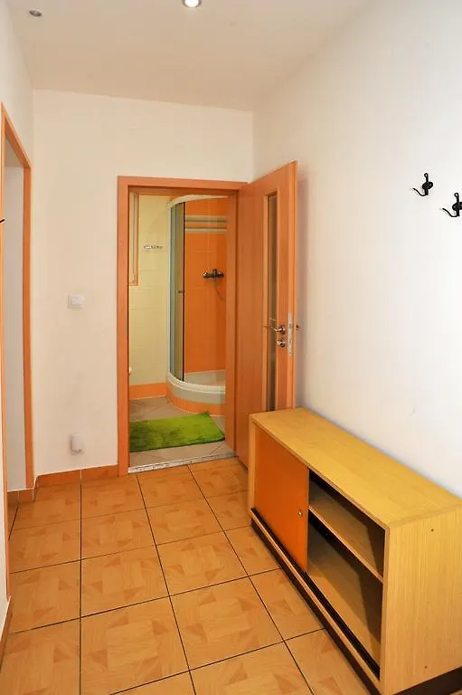 Condo In Vinohrady Prague Apartment